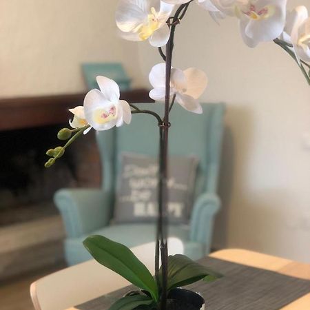 西尔米奥奈Il Capriccio Di Silvia别墅 外观 照片